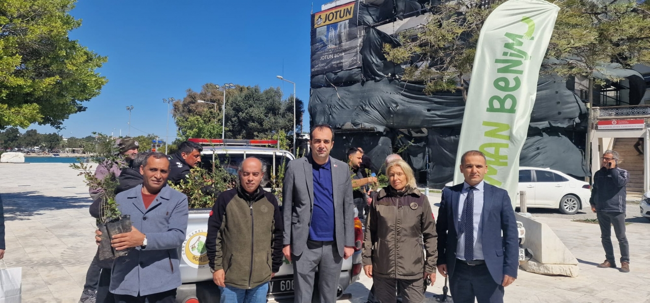 Datça’da vatandaşlara biberiye, defne, harnup ve badem fidesi dağıtıldı