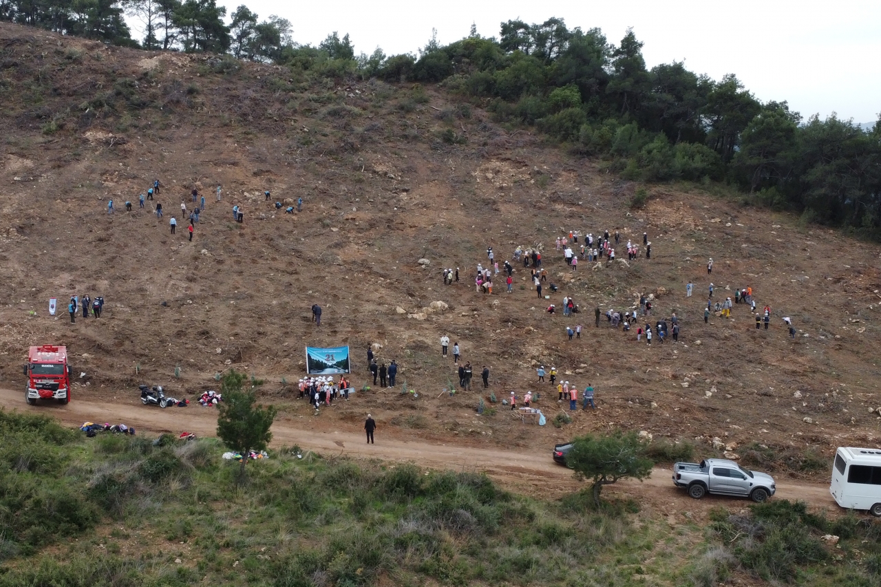 Turgutlu'da 3 bin fidan toprakla buluşturuldu