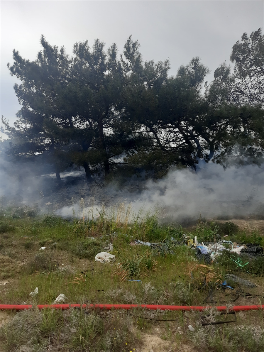 Datça'da tarım alanında çıkan yangın söndürüldü