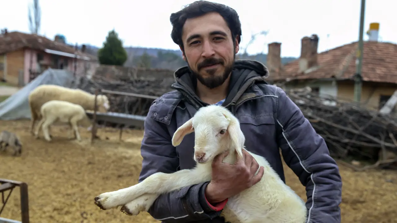 Uşak’ta Kuzu ve Oğlak Desteği Başlıyor!