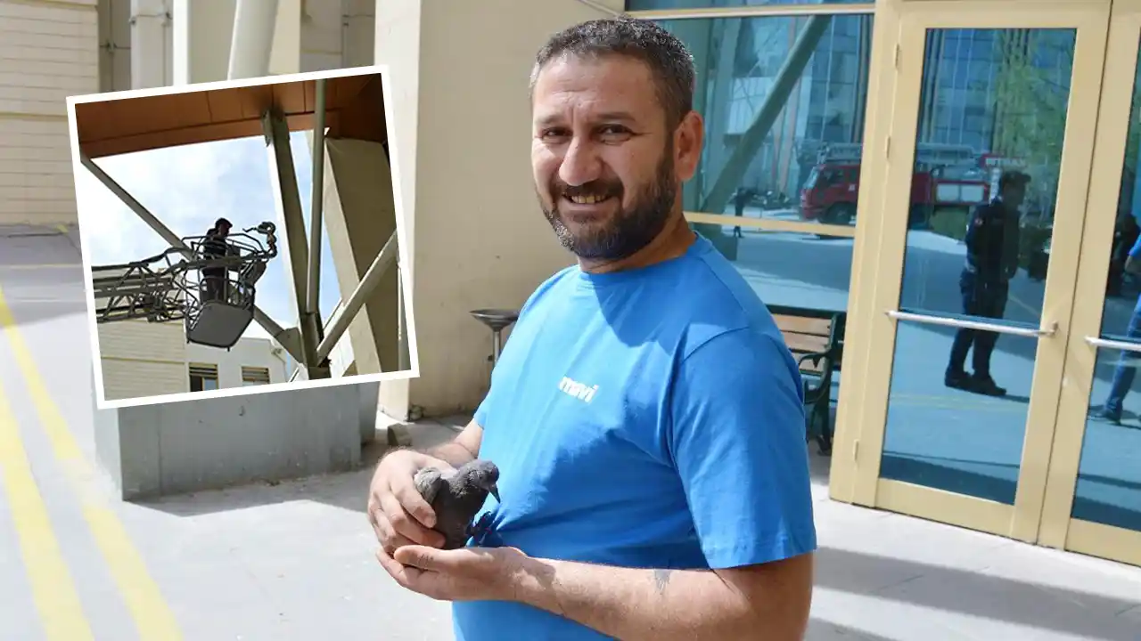 Hastane Çalışanı Şefkat Eli Uzattı: Yavru Kuş Hayatta Kaldı!