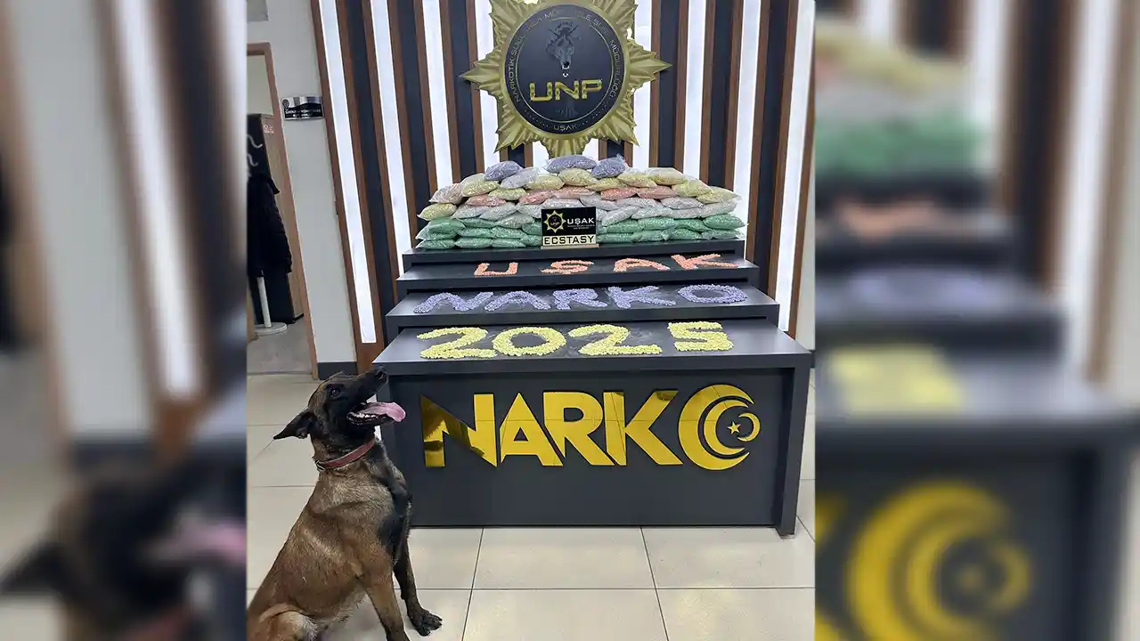 Dedektör Köpek Sayesinde 300 Bin Hap Ele Geçirildi