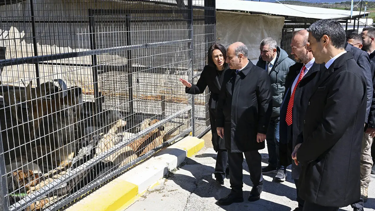 Bakan Yardımcısı Aktaş, Uşak’ta Hayvan Barınaklarını Denetledi!
