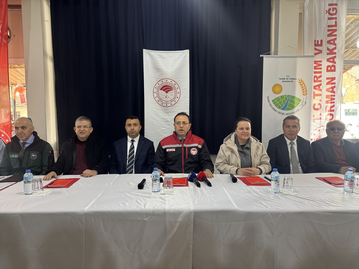 Tarım ve Orman Bakan Yardımcısı Gizligider, Denizli'de zirai dondan etkilenen alanları inceledi