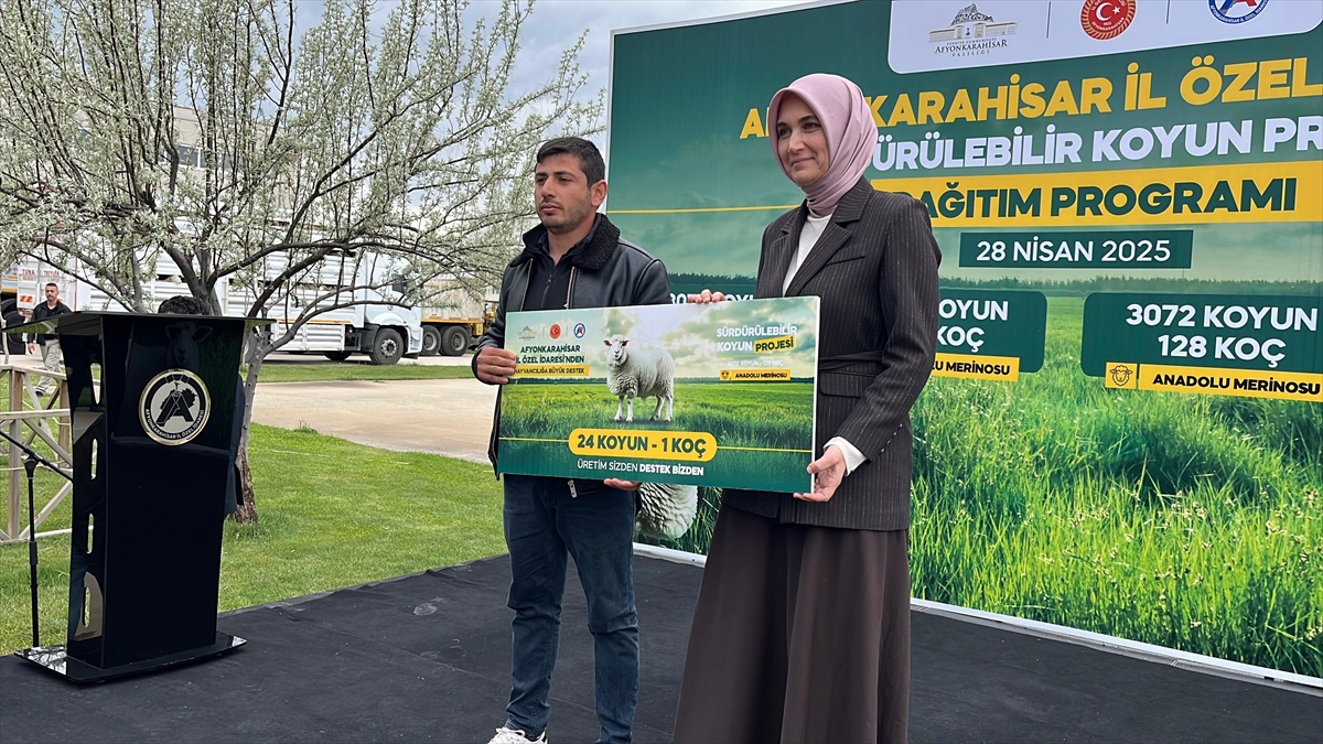 Afyonkarahisar'da 127 üreticiye 24'er koyun, birer koç dağıtıldı