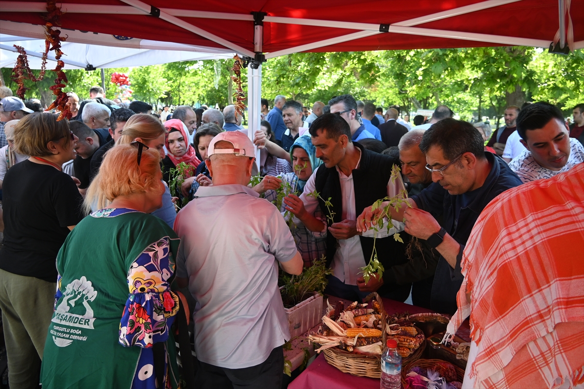 Turgutlu'da yerel tohum takas ve bahar şenliği düzenlendi