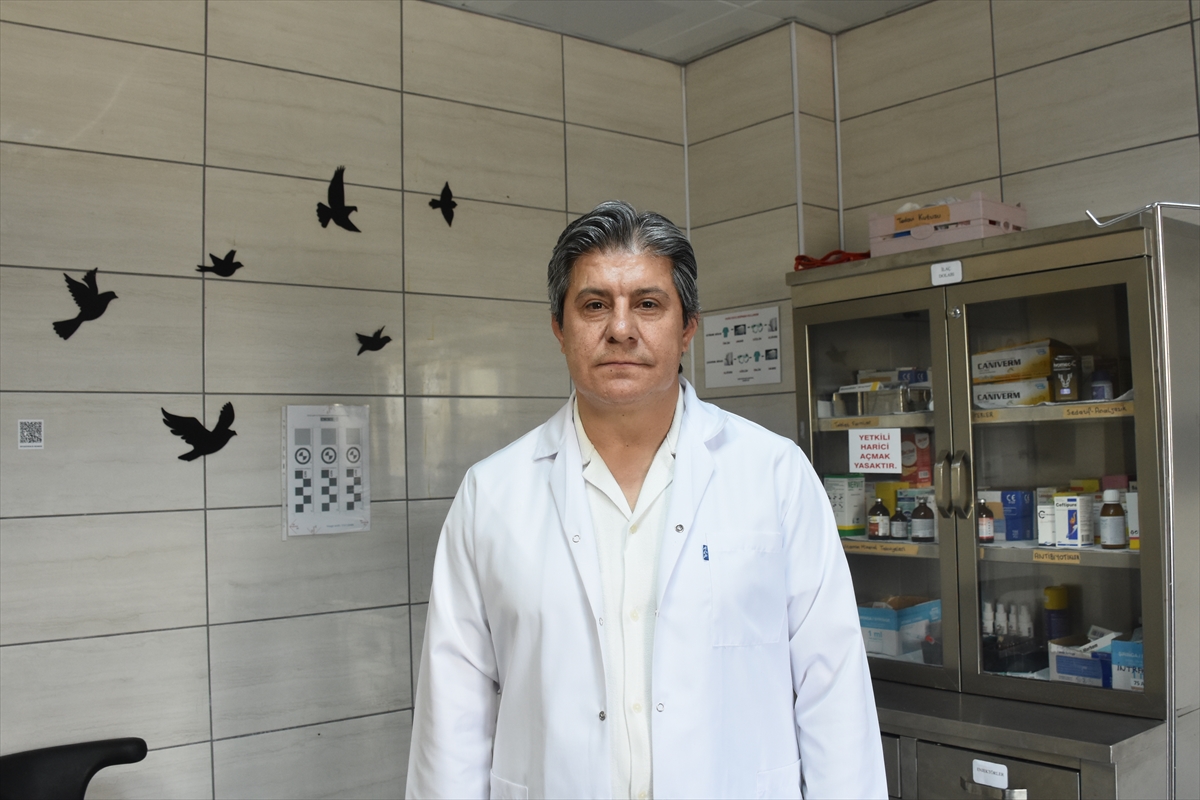Afyonkarahisar'da tedavisi tamamlanan yılan doğaya salındı