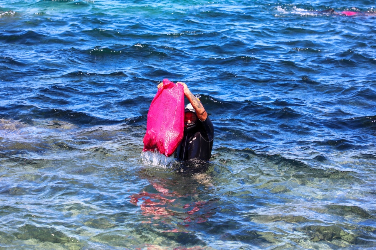 Bodrum'da deniz dibi temizliği yapıldı