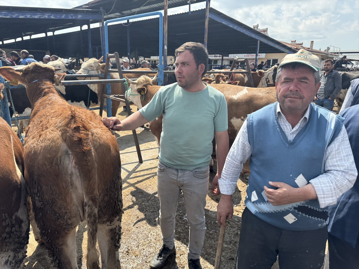 Afyonkarahisar'da hayvan pazarında hareketlilik yaşanıyor