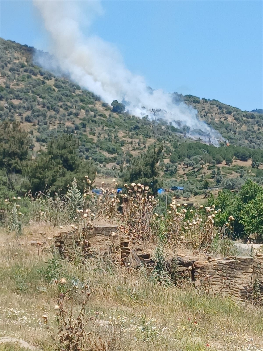 İzmir'de zeytinlik ve makilik alanda çıkan yangın kontrol altında