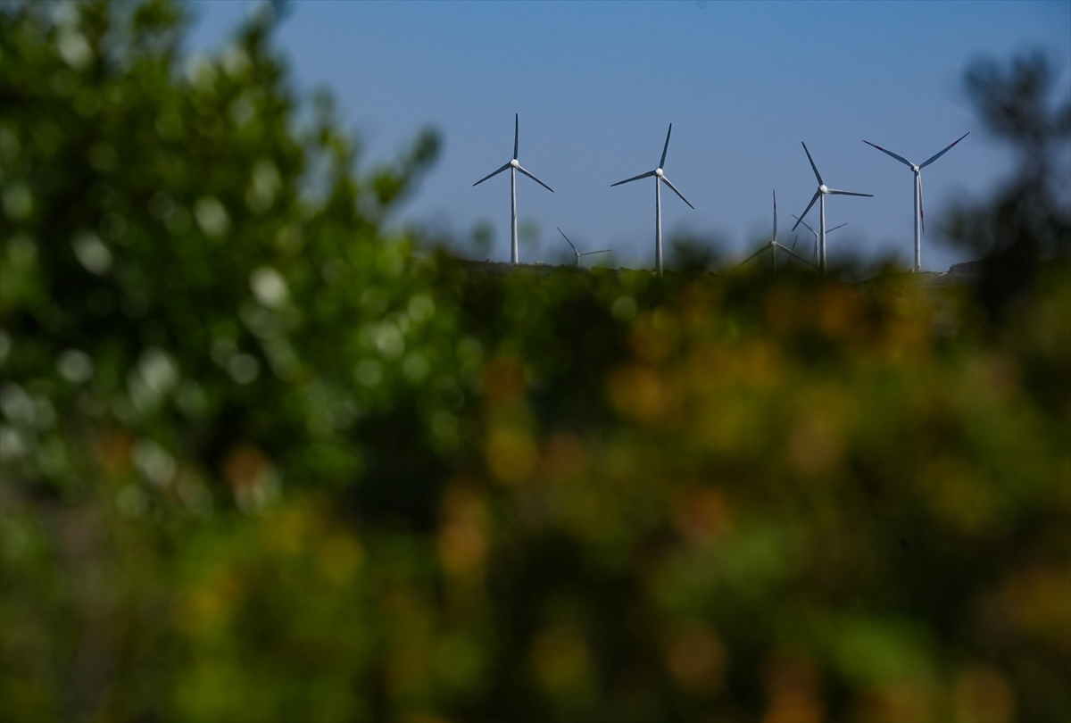 Ege'nin rüzgarı 2,5 milyon hanelik temiz enerji sağlıyor