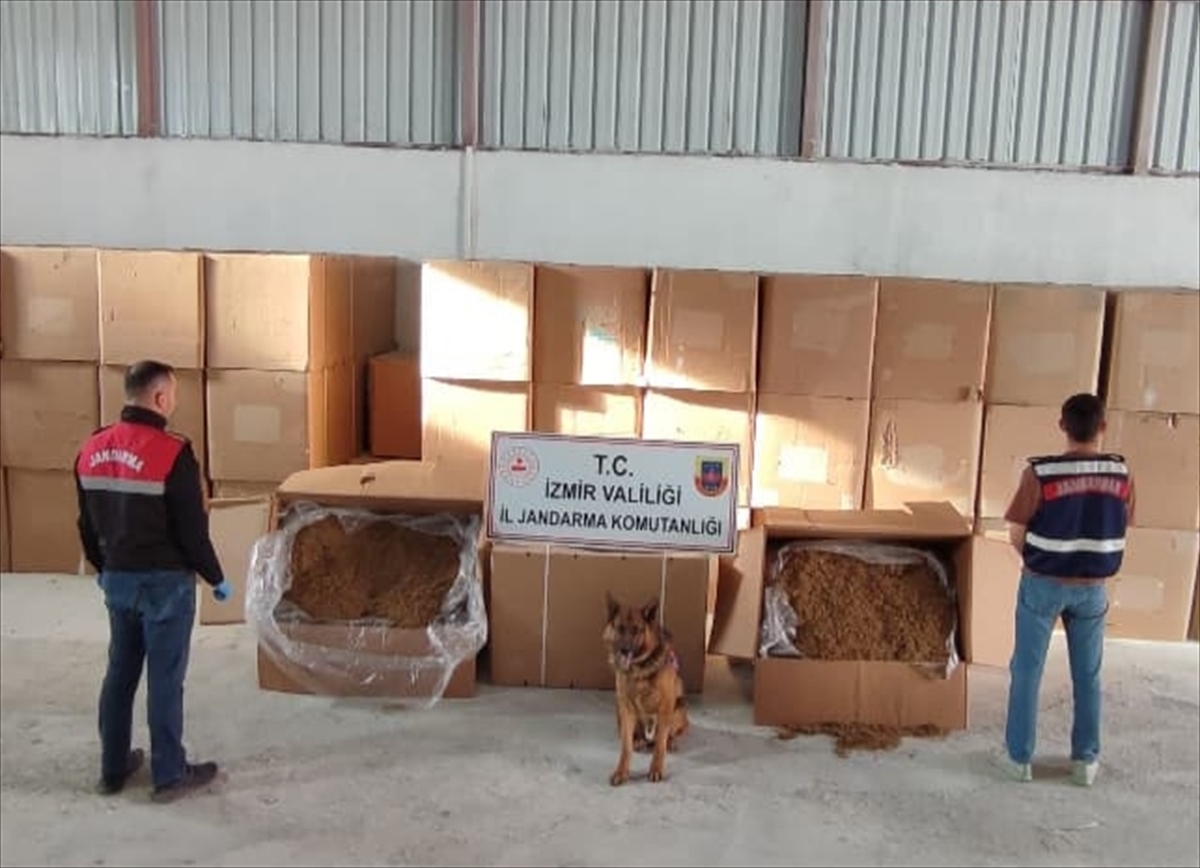 Menderes'te 6 kilo 840 gram kaçak tütün ele geçirildi