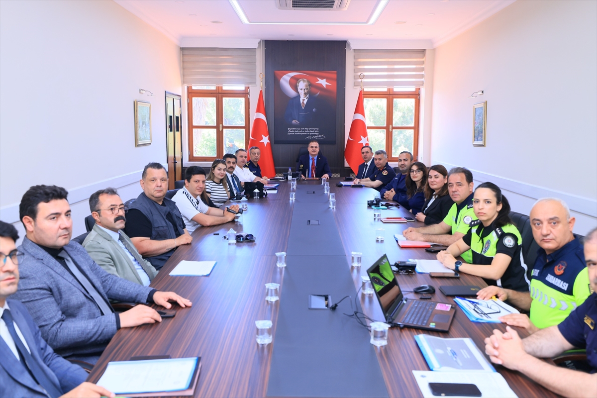 Muğla'da sokak hayvanları ve yaban domuzlarına karşı önlemler artırılacak