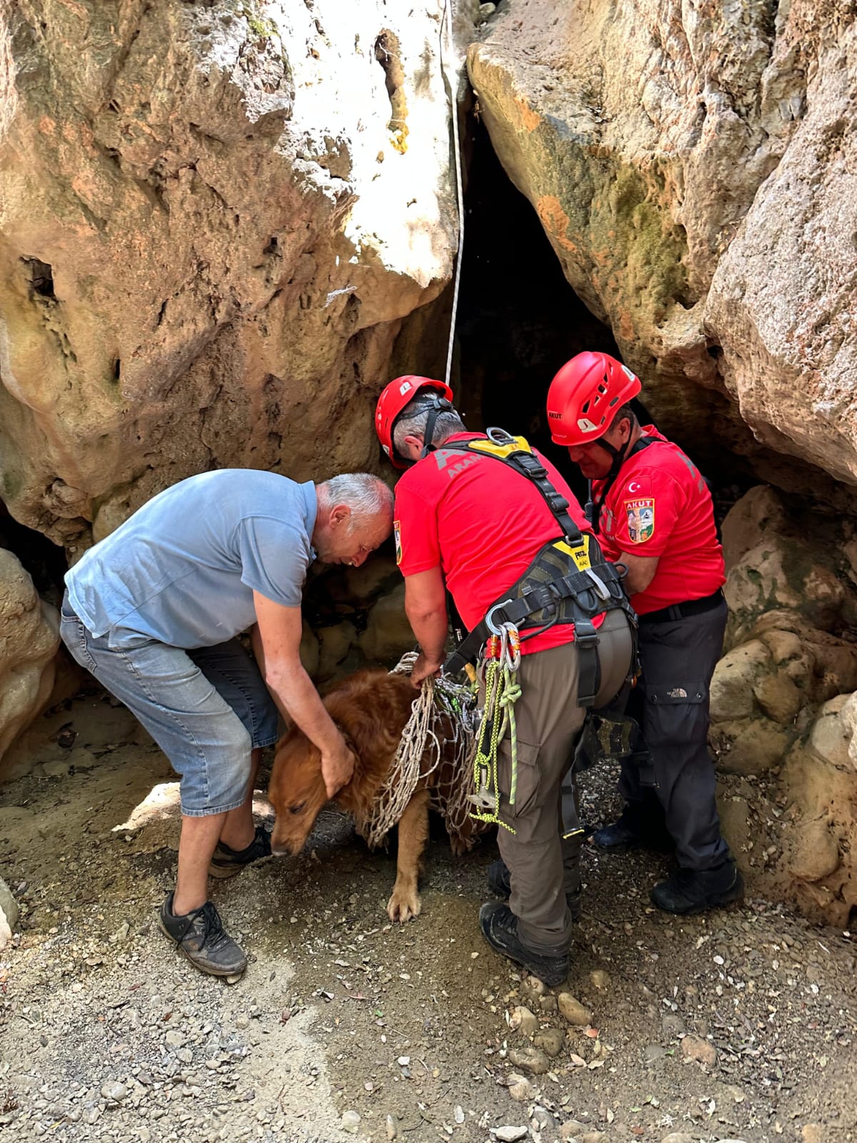 Fethiye’de dere yatağındaki sarp arazide mahsur kalan köpek ekiplerce kurtarıldı