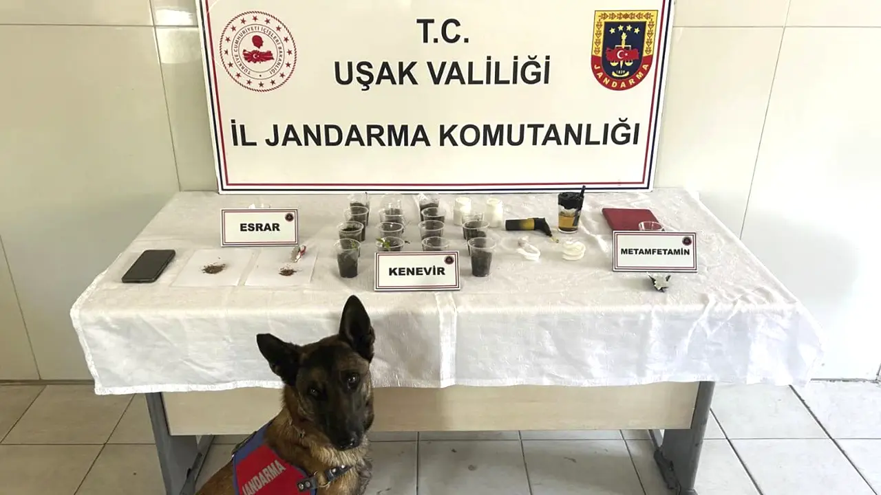 Jandarma Uşak’ta Düğmeye Bastı: 16 Şüpheli Yakalandı, 4’ü Tutuklandı