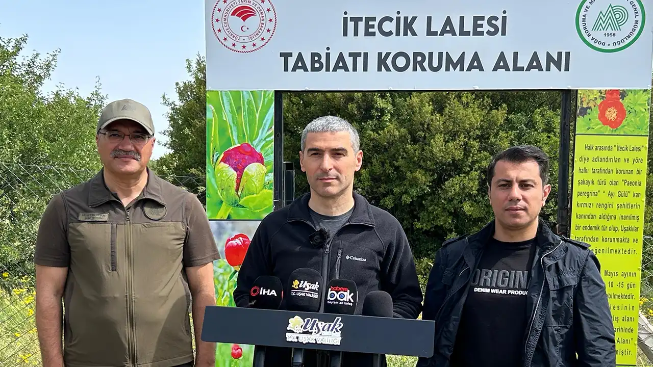 Uşak'ta Ormanlık Alanlara Girişler 1 Hazirandan İtibaren Yasak!