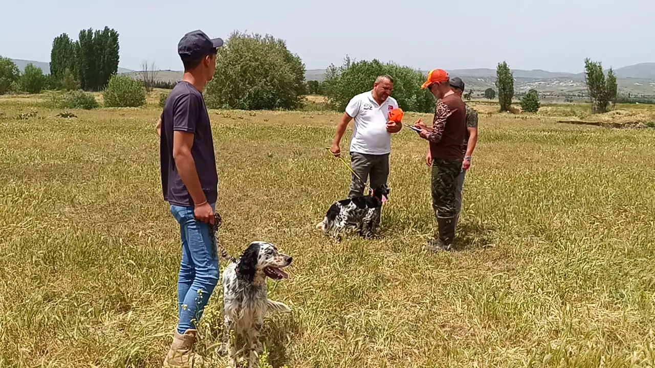 Sandıklı'da Fermalı Av Köpekleri Yarıştı