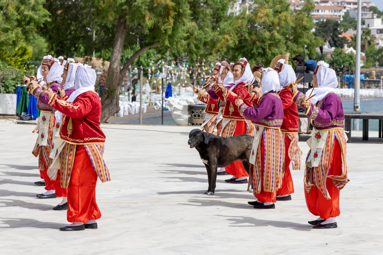 Datça'da Hayat Boyu Öğrenme Haftası etkinlikleri başladı