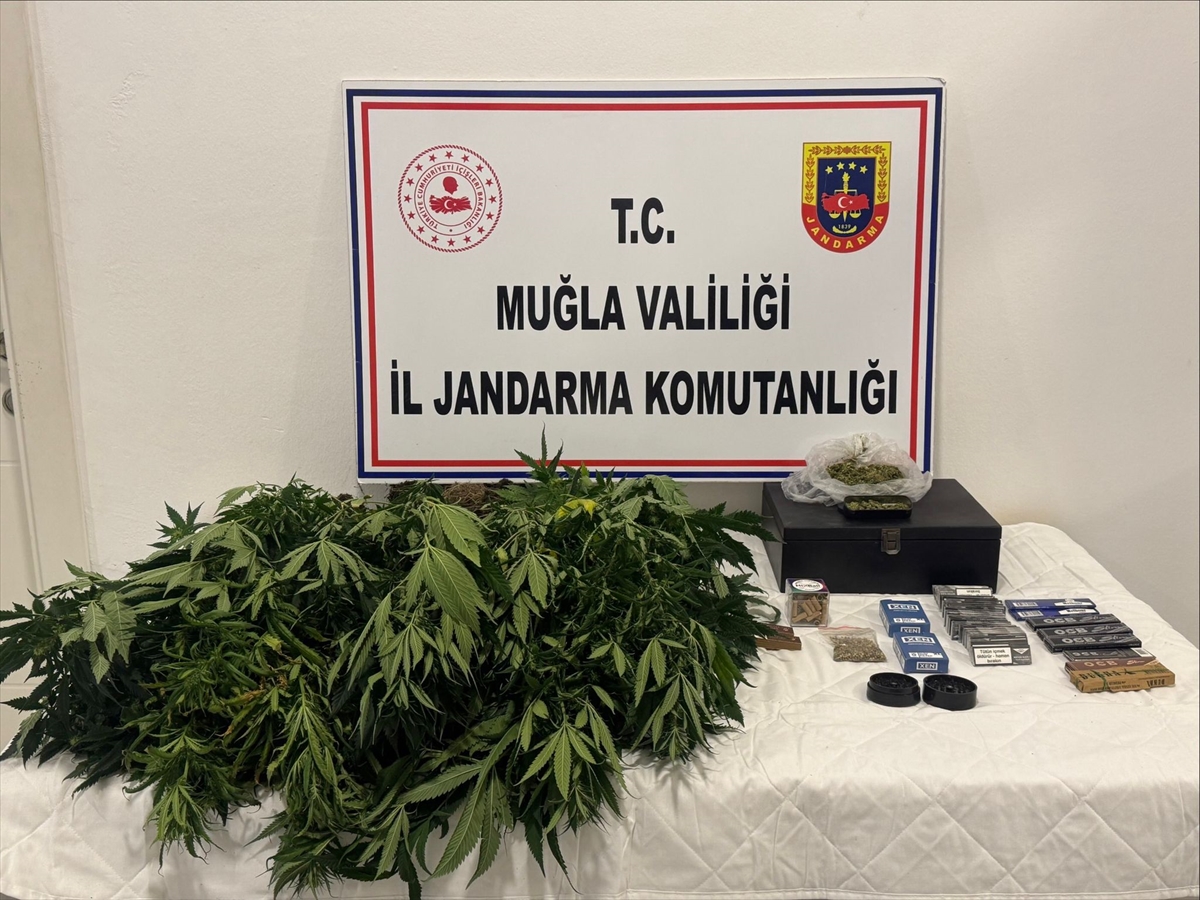 Muğla'da evde uyuşturucu madde yetiştirdiği iddiasıyla 2 zanlı gözaltına alındı