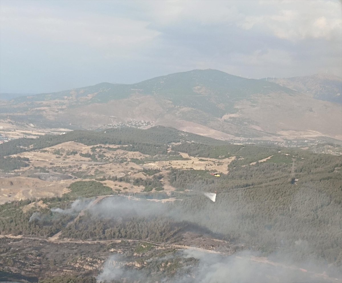 İzmir'in Aliağa ilçesinde ormanlık alanda çıkan yangına müdahale ediliyor