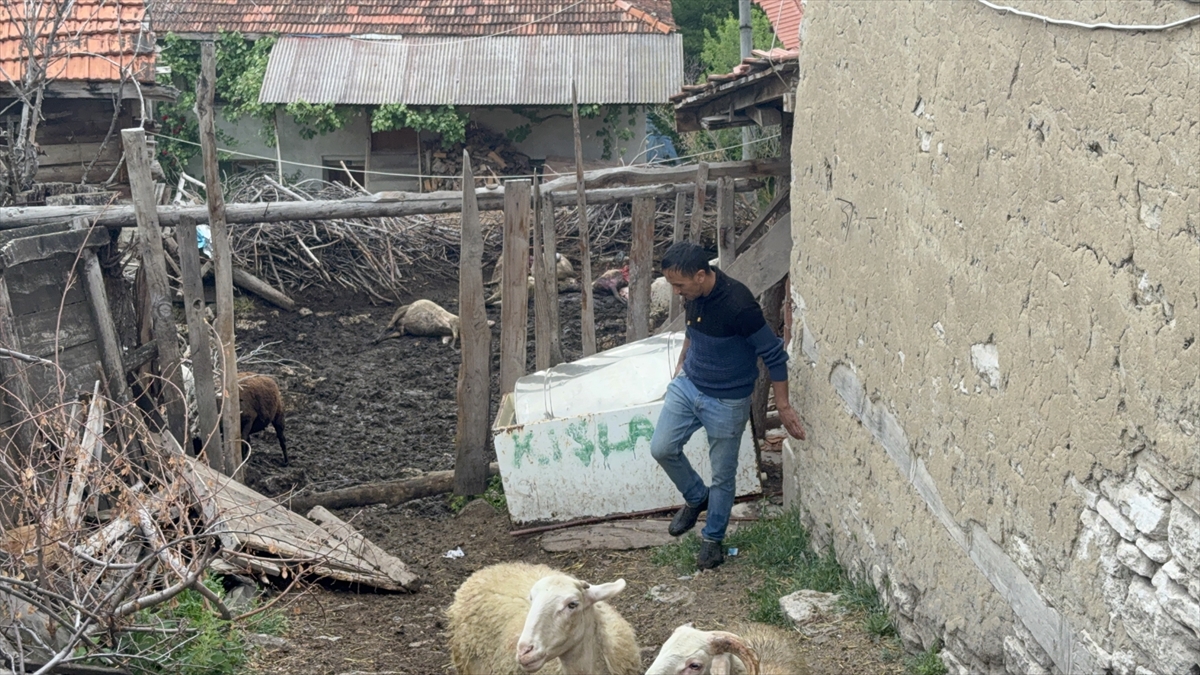 Bayat'ta çatısı çöken ağıldaki 6 koyun telef oldu