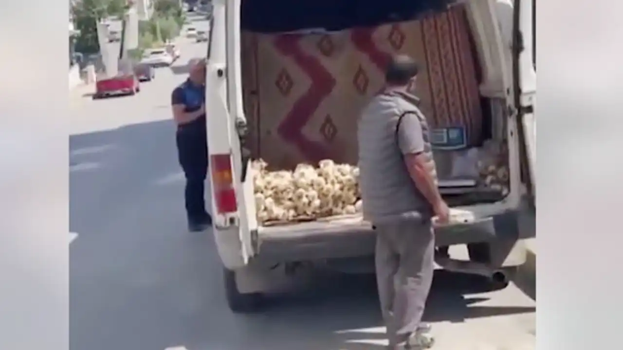 Çin Sarımsağını "Taşköprü" Diye Satarken Yakalandı