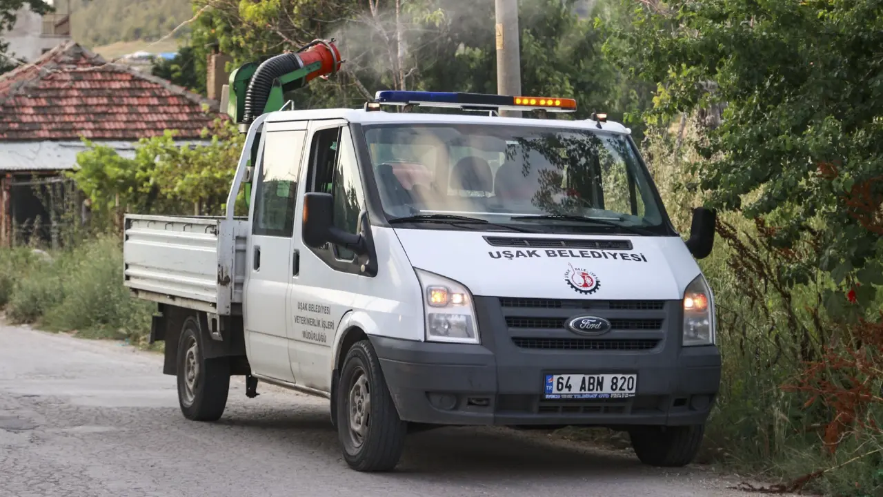Uşak’ta Sinek ve Sivrisinek Şikayetleri Arttı, Gözler Belediyeye Çevrildi