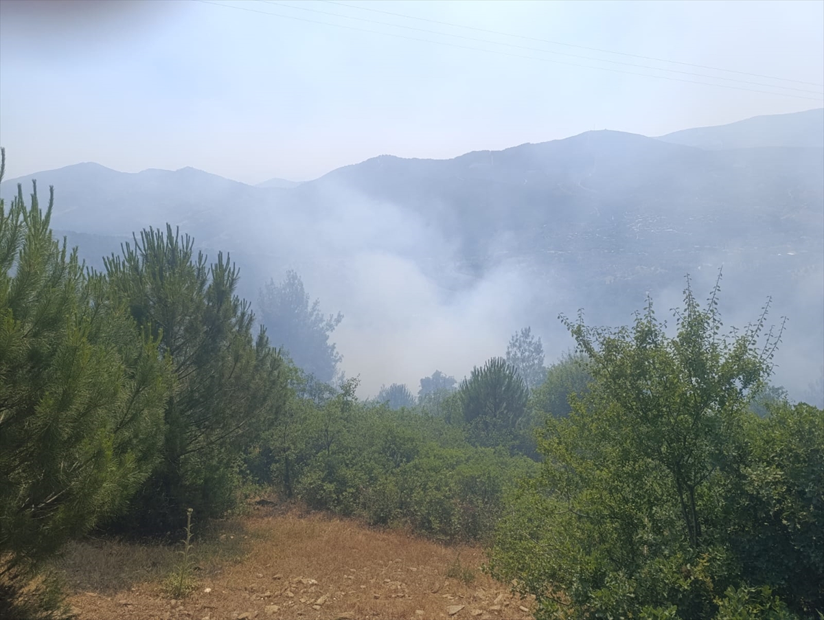 İzmir'de otluk alanda çıkan yangın söndürüldü