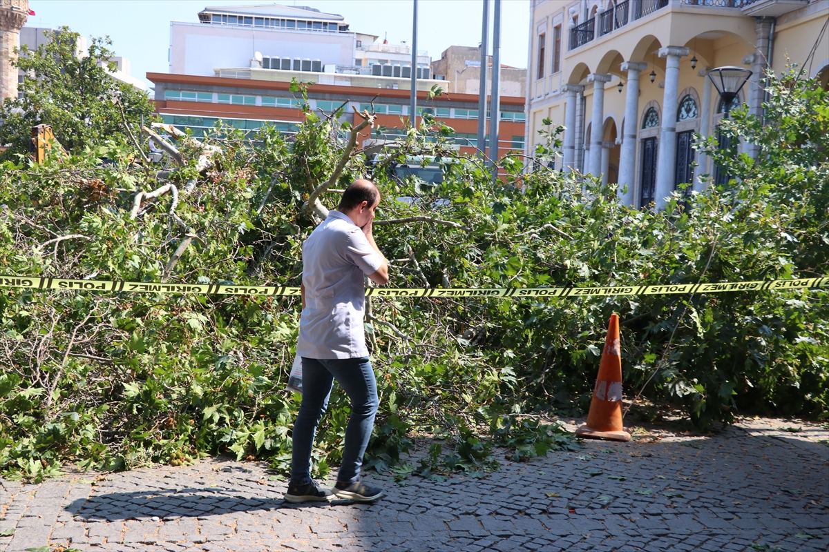 İzmir'de tarihi Kemeraltı Çarşısı girişindeki asırlık çınar devrildi