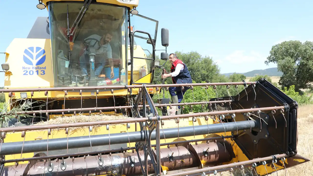 Uşak’ta Hububat Hasadı Başladı: Biçerdöverler Mercek Altında