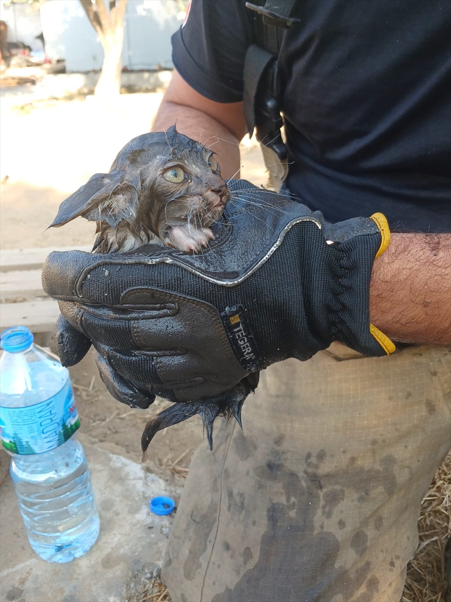 İzmir'de müştemilatta çıkan yangında yaralanan bebek hastaneye kaldırıldı