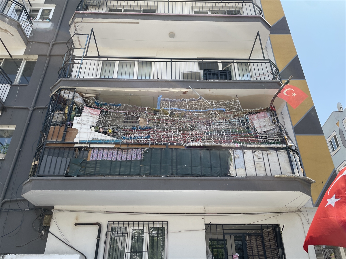 Aydın'daki çöp evden 4 kamyon çöpün yanı sıra 12 kedi ile 3 kaplumbağa çıktı