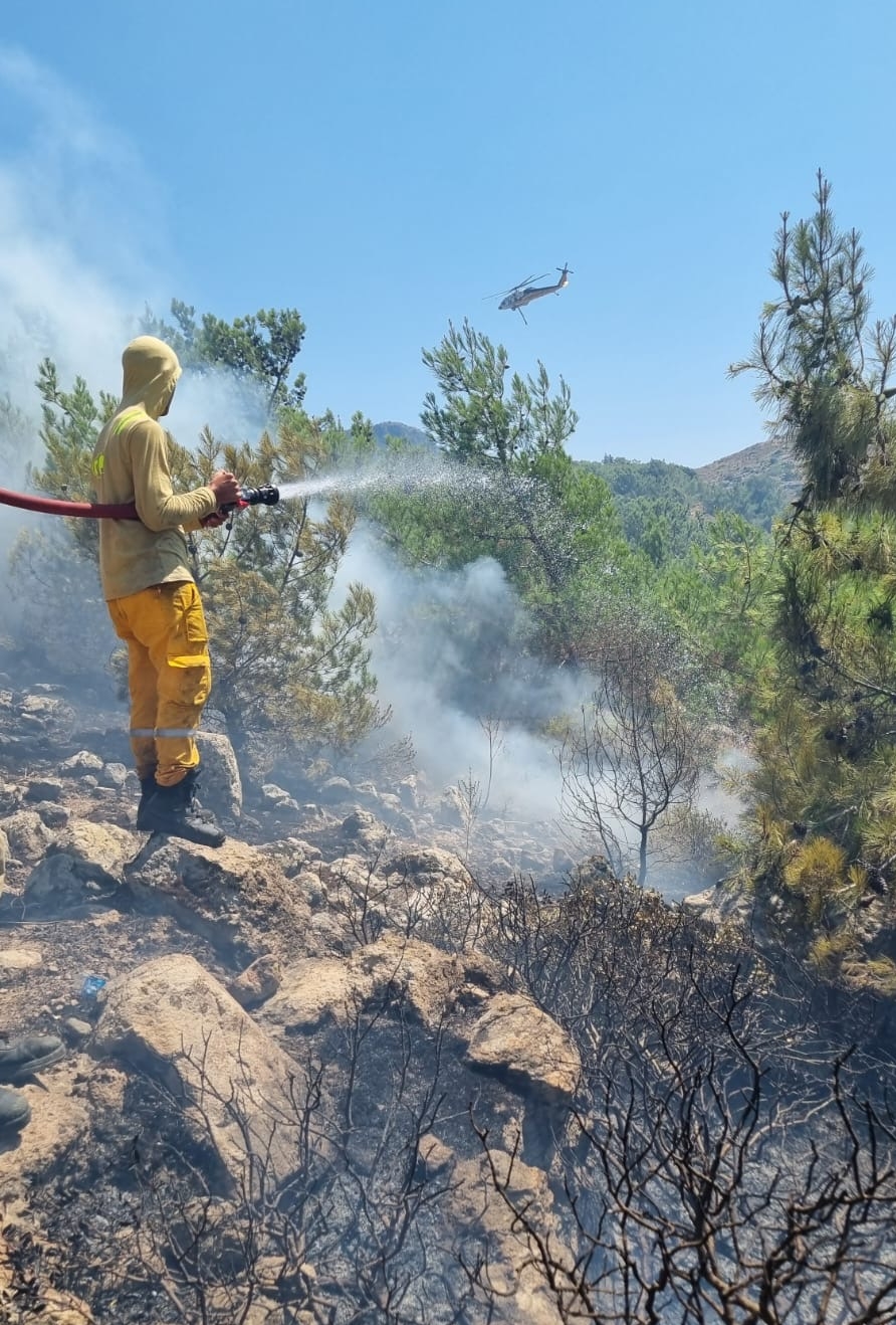 GÜNCELLEME - Bodrum'da makilik ve otluk alanda çıkan yangın kontrol altına alındı