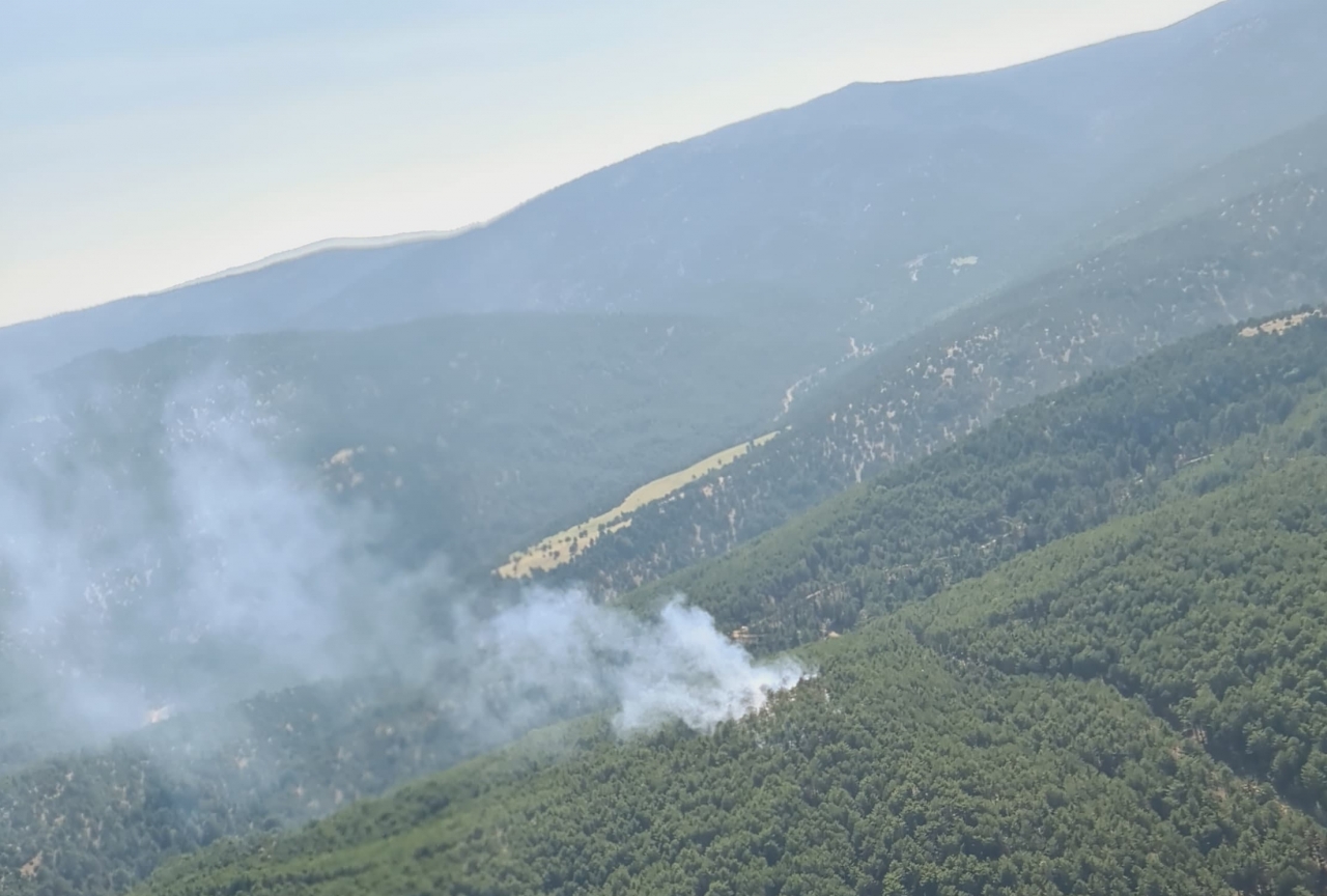 Uşak-Çivril Yolunda Ormanlık Alanda Yangın Çıktı