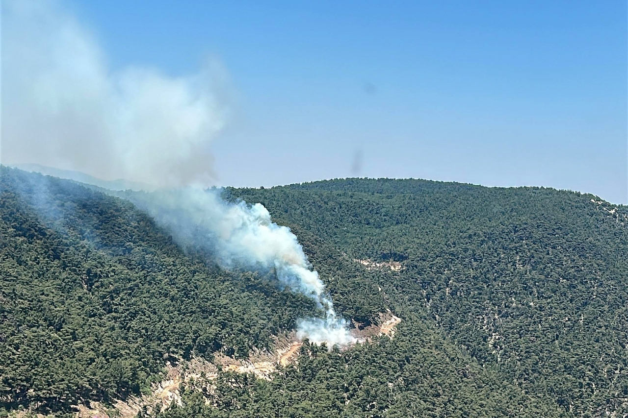 Manisa'da çıkan orman yangınına müdahale ediliyor