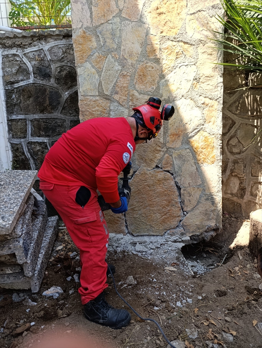 Bodrum'da apartmanın duvar boşluğunda mahsur kalan kedi kurtarıldı