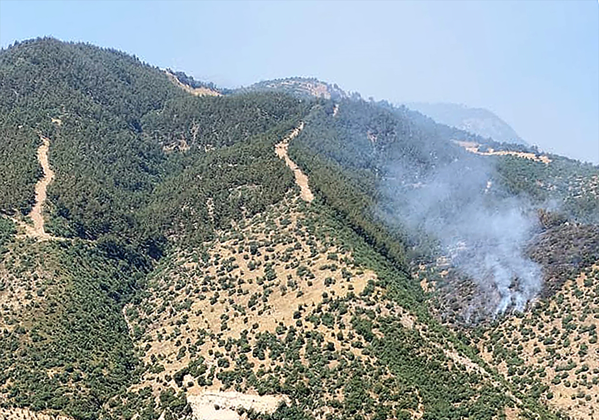 Manisa'nın Alaşehir ilçesinde ormanlık alanda yangın çıktı