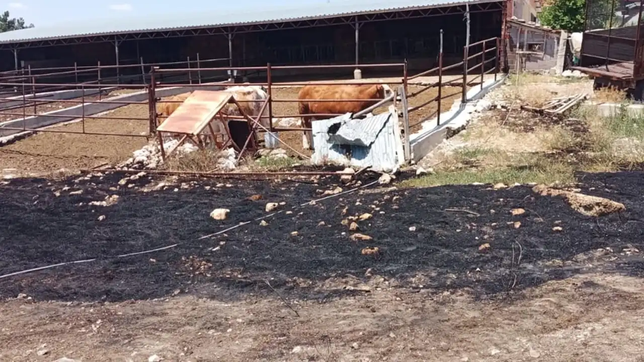 Ulubey’de Ot Yangını Ahıra Sıçradı