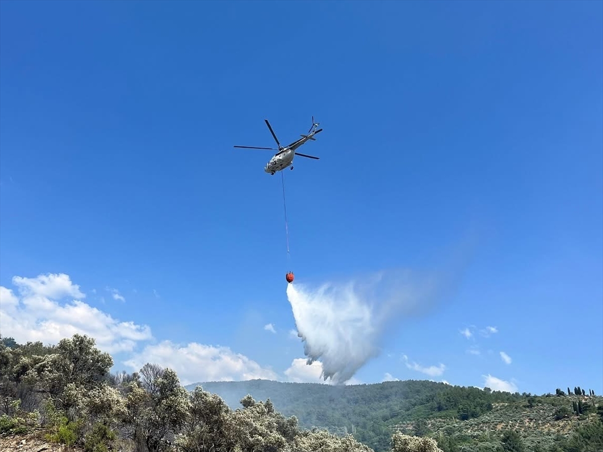 Muğla'da makilik ve zeytinlik alanda çıkan yangın söndürüldü