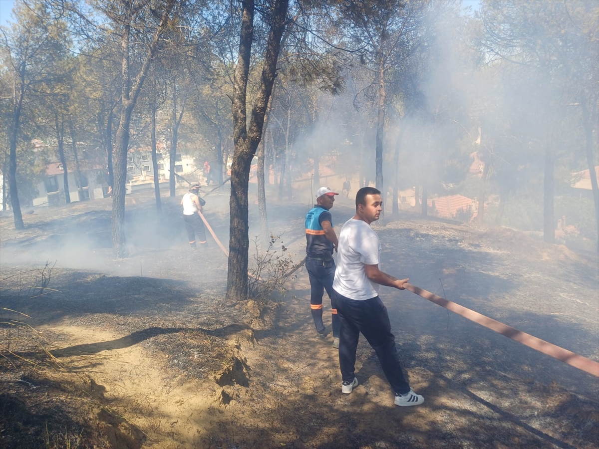 Manisa'da otluk alanda çıkan yangın söndürüldü