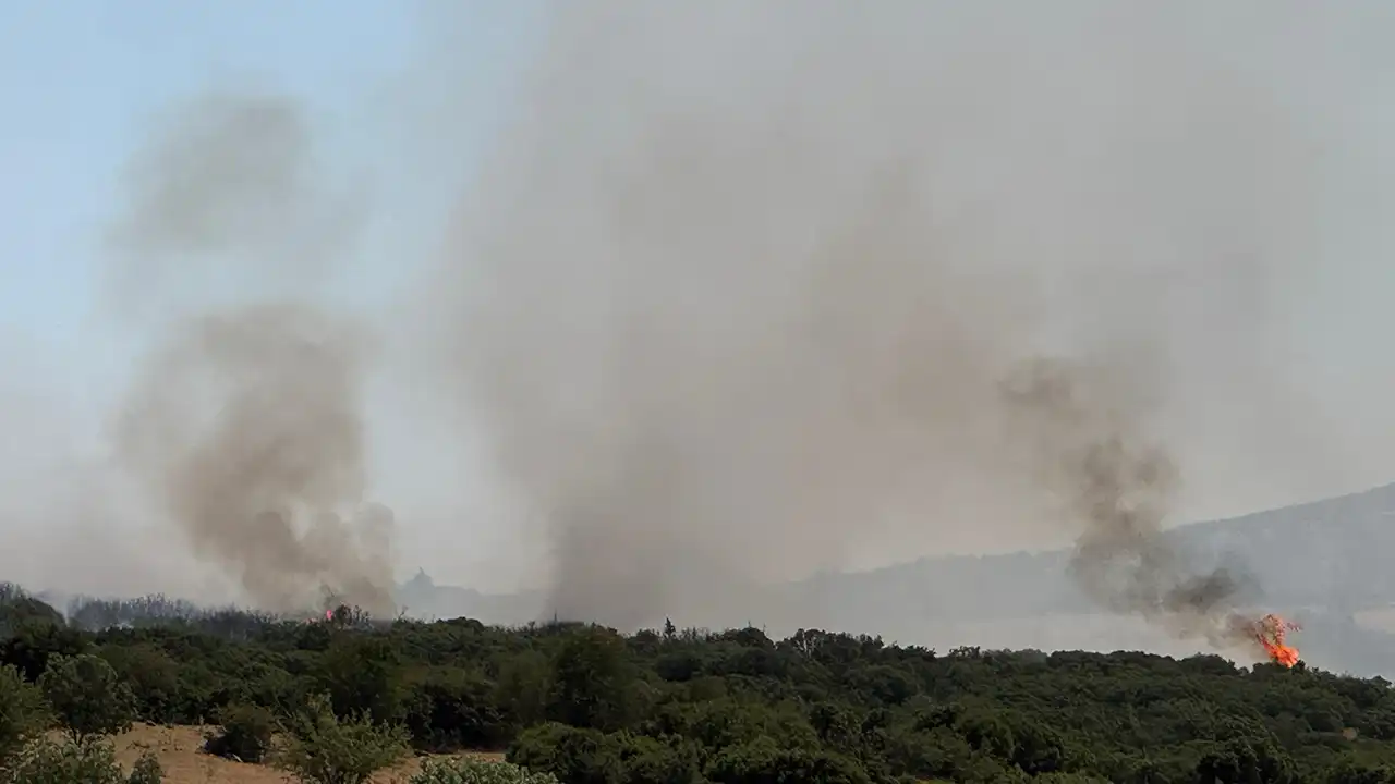 Çınarcık Köyü Yakınlarında Orman Yangını Çıktı