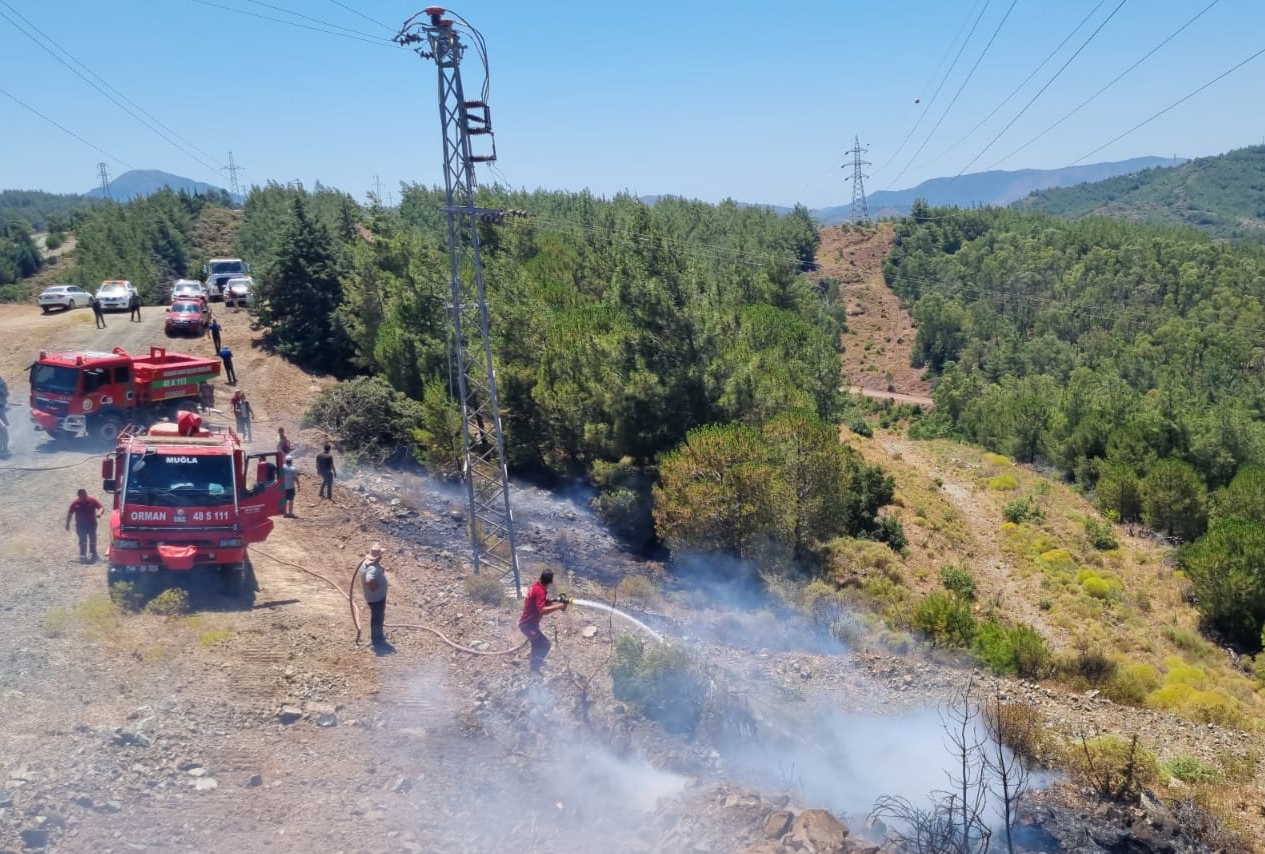 Muğla'da çıkan orman yangını söndürüldü