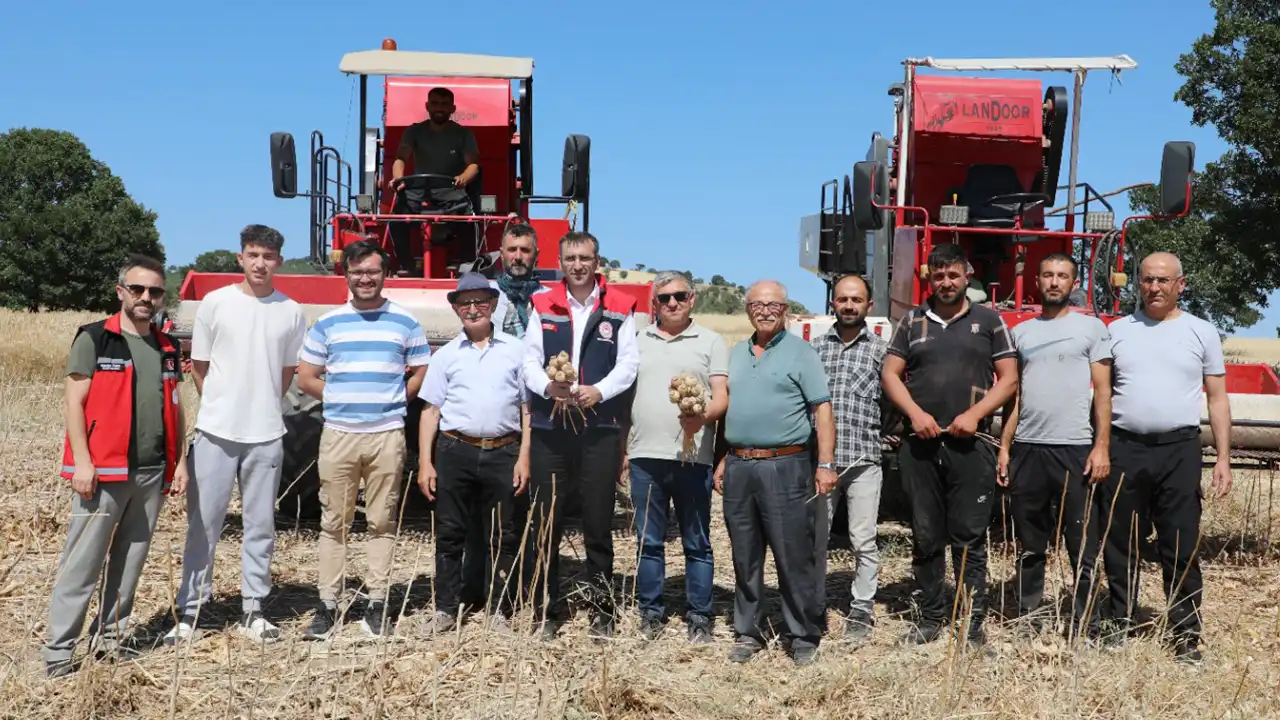 Uşak’ta Haşhaş Üretiminde Beklentiler Yüksek