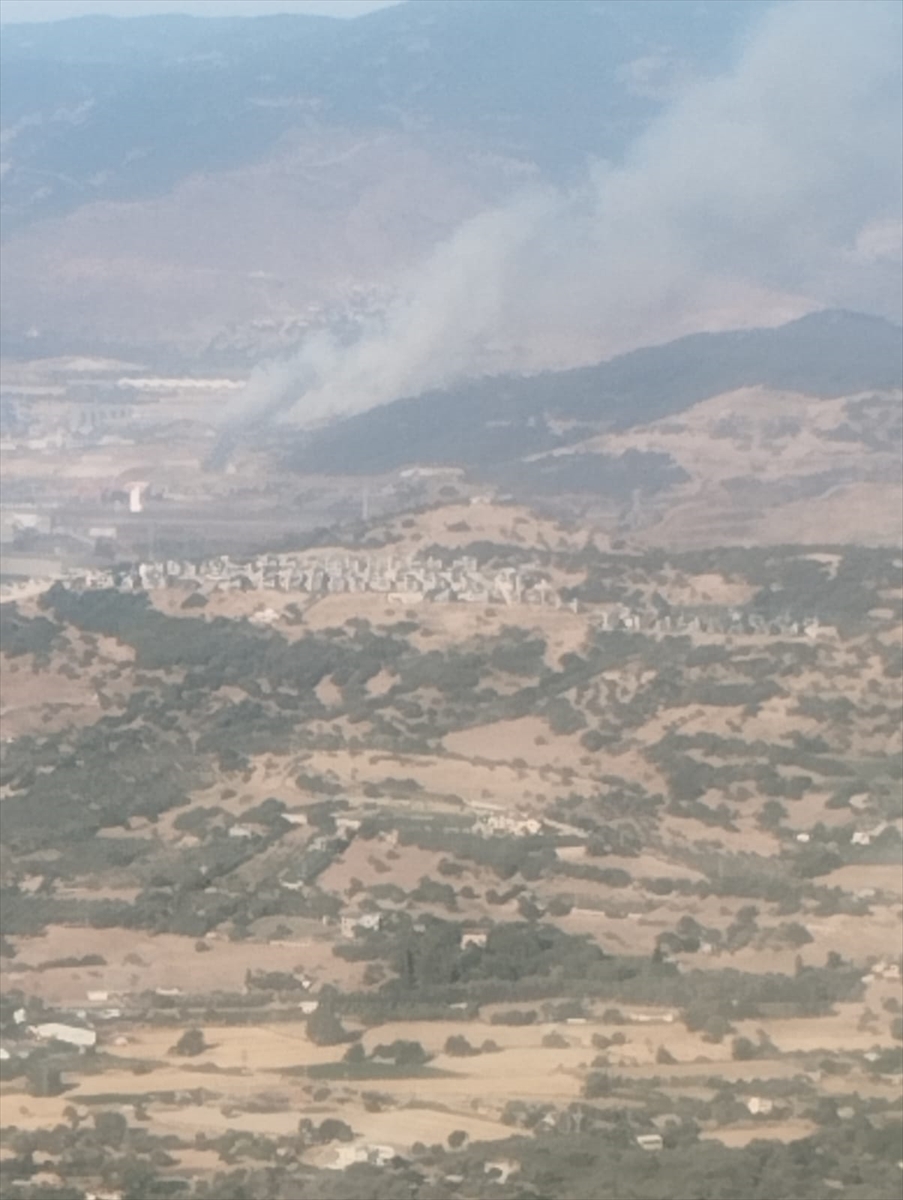 İzmir'de çöplük alanda başlayan yangın ormanlık alana sıçradı