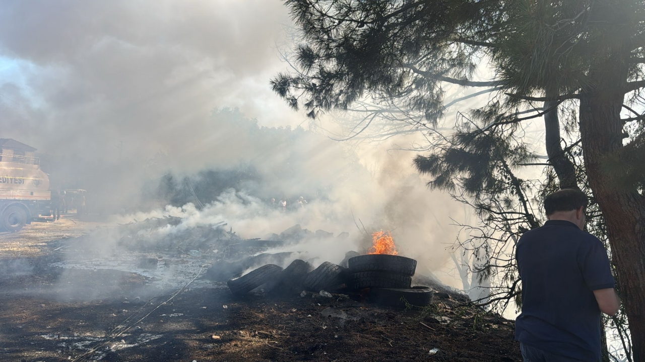 Muğla'da çıkan orman yangını kontrol altına alındı