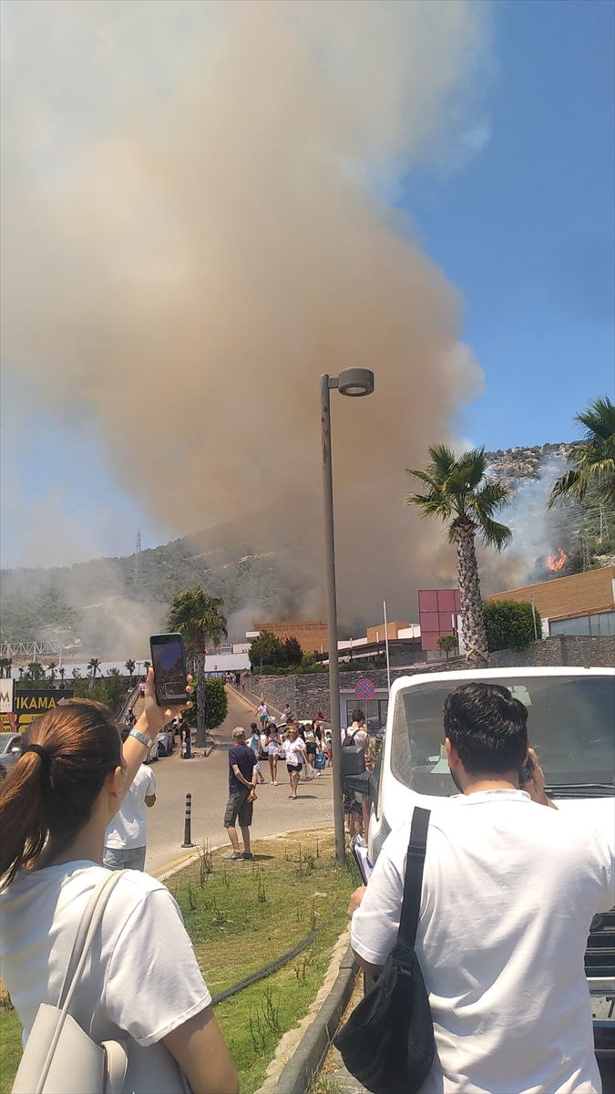 Bodrum'da çıkan orman yangınına müdahale ediliyor