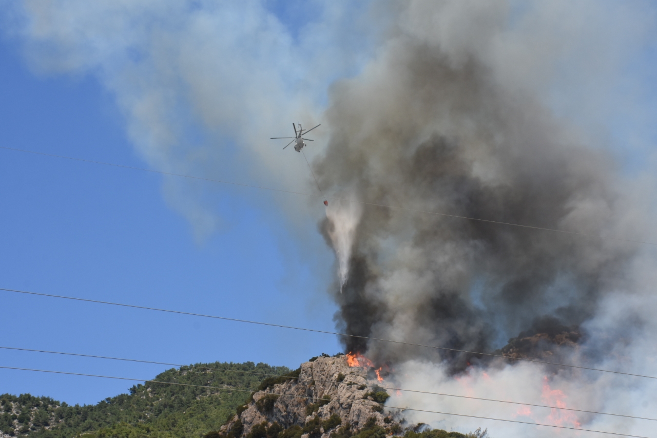 Bodrum'da çıkan orman yangınına müdahale ediliyor