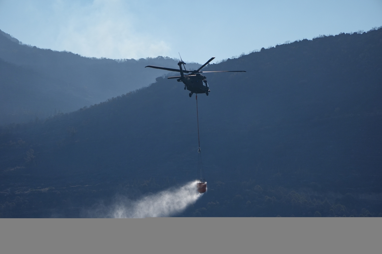 İzmir'in Seferihisar ve Menderes ilçelerindeki orman yangınlarına müdahale sürüyor
