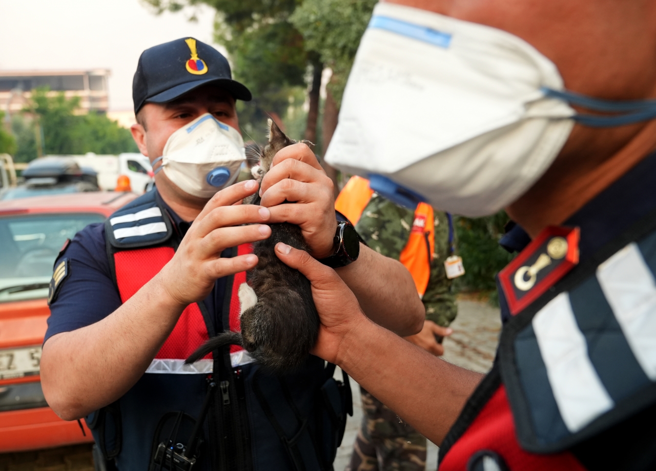 Yangında tahliye edilen evde mahsur kalan 25 kedi ile 10 köpek kurtarıldı