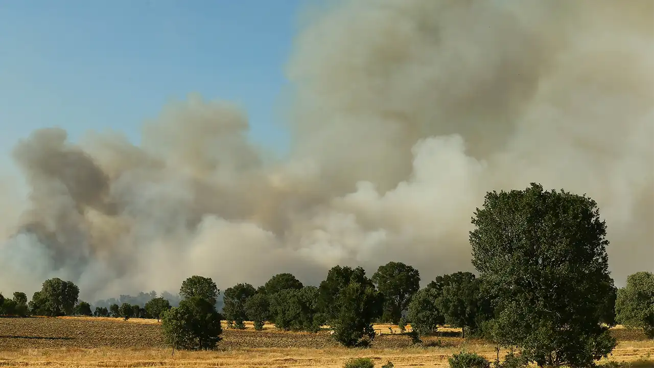 Derbent'teki Yangına Sebebiyet Veren 2 Kişi Gözaltına Alındı